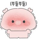 야무지개 이미지