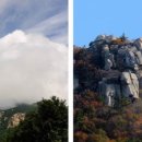 흥양농협남부주유소 이미지