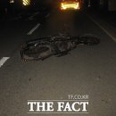 을숙도대로 이미지