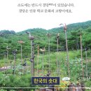 소도2 이미지