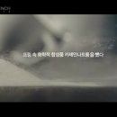 남양광고 - 김해시 | 남양광고