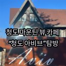 청도식당 | [청도 카페] 아비브 Aviv 방문기- 불로장수 식당 근처 카페 탐방과 저의 하루 일상..★