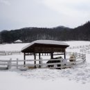 강원목장 이미지