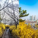 개나리공원 앞 이미지