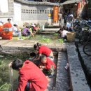 용담 세탁 이미지