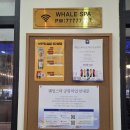 불정마트 | 수상택시 곤돌라 추천 탑승시간 &amp; 이용 상세팁!! + 웨일스파 아오자이 무료대여 + 핑크버터네일 솔직후기