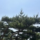 주벅배 전망대 화장실 이미지