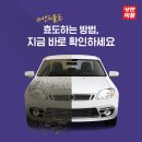 카앤스팀 이미지