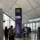 416 | 캐세이퍼시픽 인천 - 홍콩 이코노미 탑승기 (후기 / CX419 - CX416, A330-300)