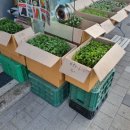 진주팜농약 이미지