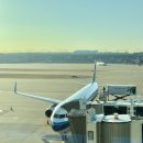 315 봄 | 중국 남방항공 후기 베이징 CZ316 CZ315 중국 입국 출국