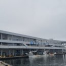 죽변수산 Daum카페