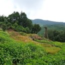 김삿갓면-36 이미지