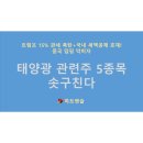 TOP솔라2 태양광발전소 | [주식] 트럼프 15% 관세 폭탄! 중국 덤핑 막히자 태양광 관련주 TOP 5 솟구친다