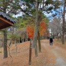 육각정 화장실 이미지