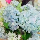 푸른푸릇 이미지