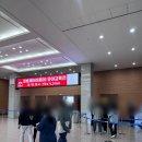 아토농장 | 최대규모 일산 킨텍스 코베 베페 베이비페어 방문 후기 주차 먹거리