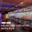 비알배스킨라빈스대전둔산점 | 둔산동 놀거리&오락실을 찾고있다면.. : 짱오락실 대전둔산점