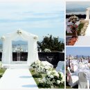 천성관 아들놈 쥐새끼 어디 노무현대통령님을 비웃다니.. 이미지