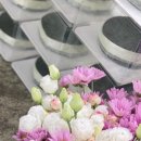 키즈포레 유치원 이미지