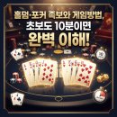 리버홀덤 - 수영구 수영로 698-1 | 홀덤·포커 족보와 게임방법, 초보도 10분이면 완벽 이해