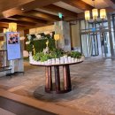 구기당구장 | [강원도 여행 / 평창] 평창여행 1일차, 호캉스, 알펜시아 호텔, 다키닥팜, 대관령자연애, 안반대기, 비...