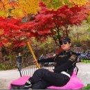 테라카페 - 115699 | 테라카페