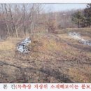 산대월리 이미지