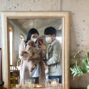 정스 스토리 | 제주도 애견동반 태교여행 3일차 (22.3.15~19)