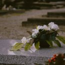 대성병원 이미지