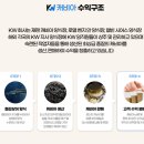케이더블유