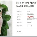 (주)양지약품 이미지