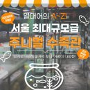 주니멀