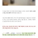 신환아파트 상가동 | 신규개원, 환자가 모르면 소용 없습니다(ft.병원마케팅)