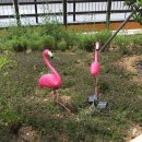 축령산금빛휴양타운 이미지