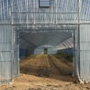 우하하농장 이미지