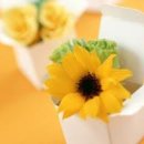 (주)지혜로운세상 이미지