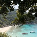 씨스타 | 2월 푸켓 시밀란섬 투어(현지업체 추천 씨스타 카타마란 후기)