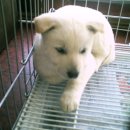 스마일하우스 이미지