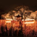 함안 낙화놀이 이미지