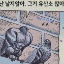 더달달힐