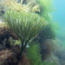 남해-295 이미지