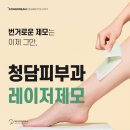 공드림 이미지