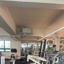 리온스포츠