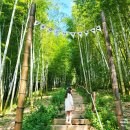맹종죽테마공원 | 거제 맹종죽 테마공원 대나무숲 산책 거제도 테마파크 체험 후기