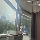 리본마취통증의학과의원 이미지