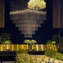 초안 | W4-3. 대구 10만원대 가성비아이폰스냅 1인 작가 [스튜디오초안] 계약 후기 / 사업자등록업체