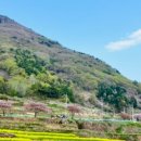 남해-239 이미지