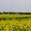 대저어린이집 이미지