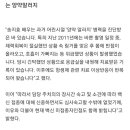 일상생활 하는데 굉장히 불편할것같은 송지효 알러지.jpg 이미지